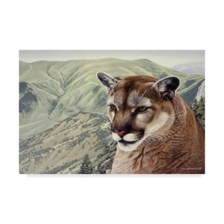 Ron Parker 'High Country Cougar' Canvas Art,22x32